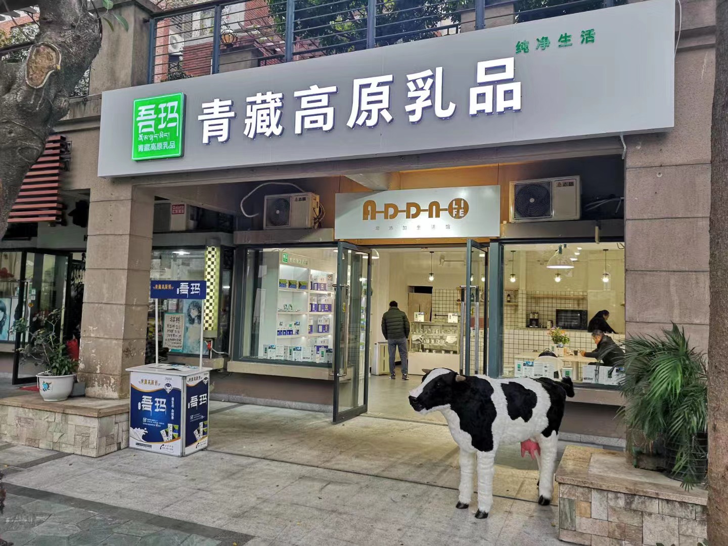 吾瑪青藏高原乳品（廣州店）